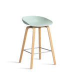 AA003-D141-AA51_AAS-32-H65-dusty-mint-2.0-shell_wb-laquered-oak-base_stainless-steel-footrest.jpg