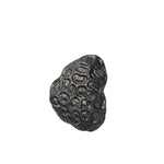 FermLiving_SS25_ComberCoralHookAluminium_BlackenedAluminium_1104270839_1-(1).jpg