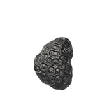 FermLiving_SS25_ComberCoralHookAluminium_BlackenedAluminium_1104270839_1-(1).jpg
