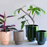 Hoff-Cover-Pot-collection.jpg