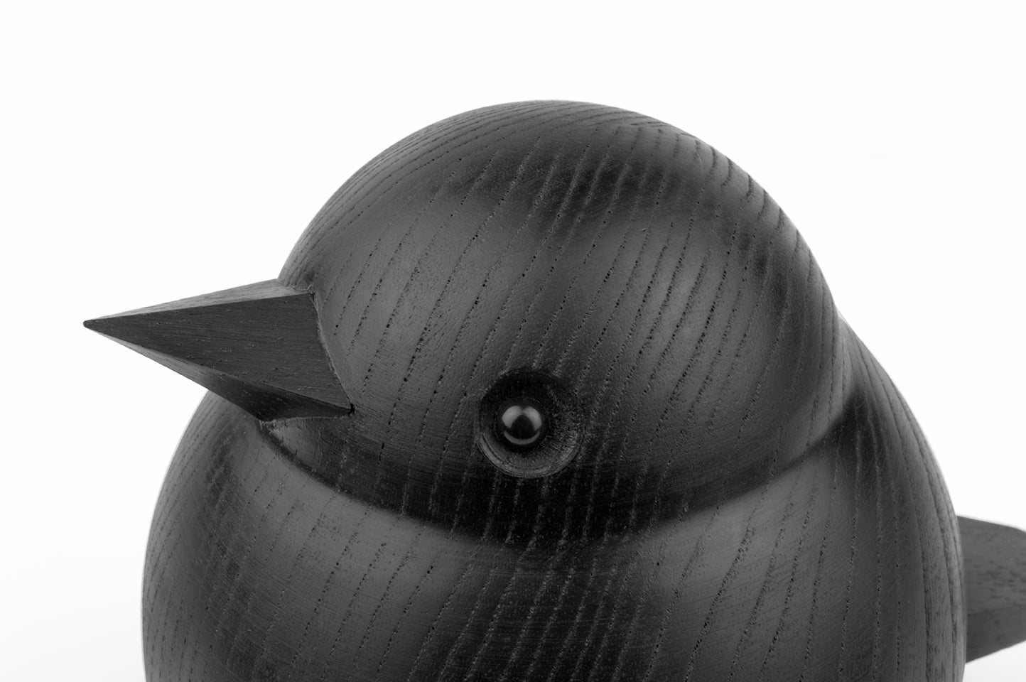 black sparrow close-up.jpg
