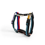 AE931-A602-AG29_HAY Dogs Harness M multi colour.jpg
