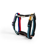 AE931-A602-AG29_HAY Dogs Harness M multi colour.jpg