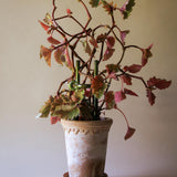 BERGS-POTTER_plant-stake_Folk_Hinto_mogr_2138_jk.jpg