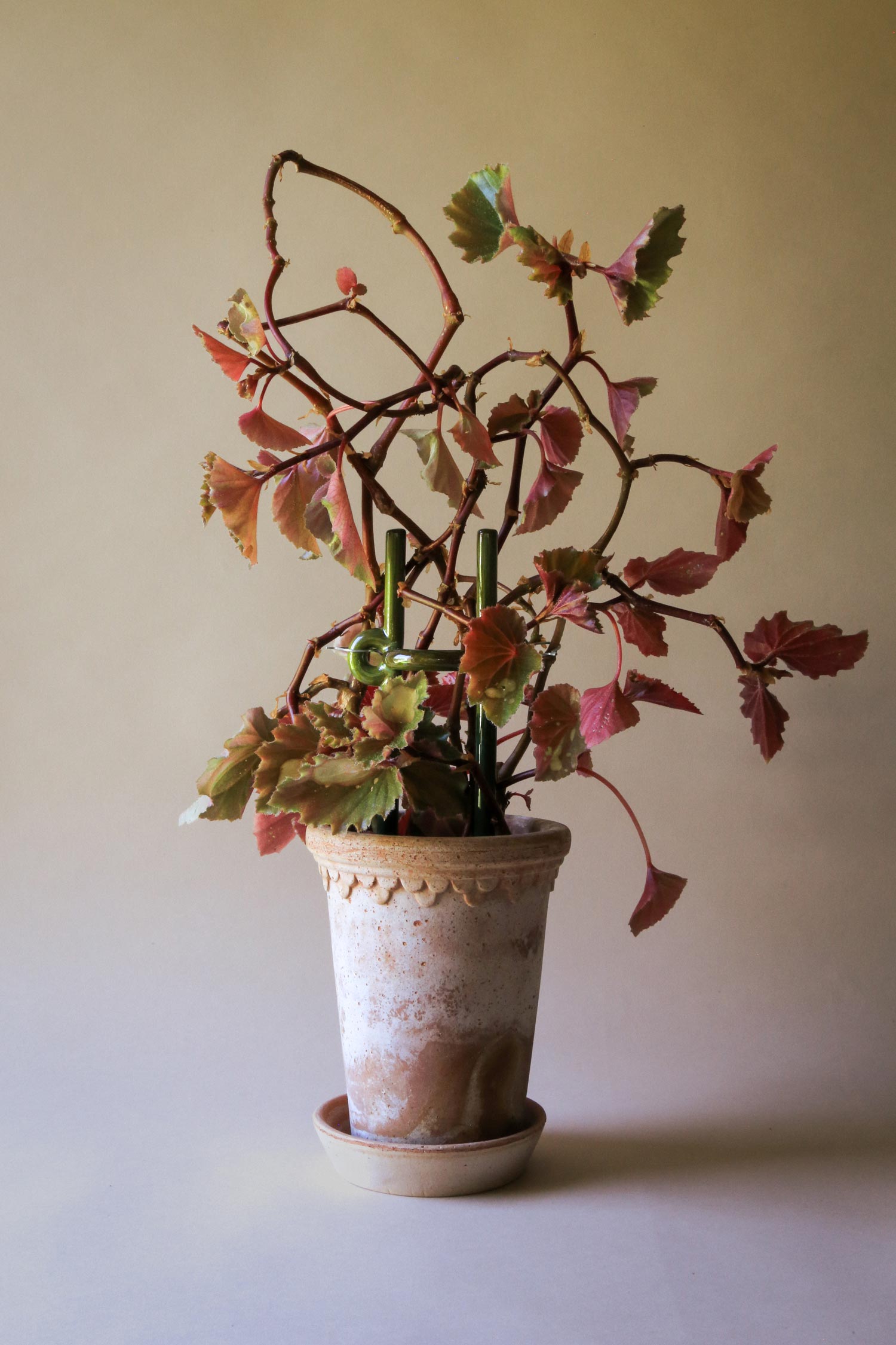 BERGS-POTTER_plant-stake_Folk_Hinto_mogr_2138_jk.jpg