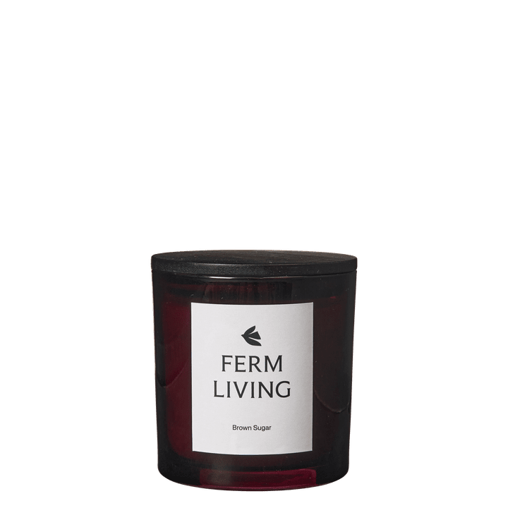 FermLiving_AW25_VittoScentedCandle_H10_DarkGrape_1104271916_1.png