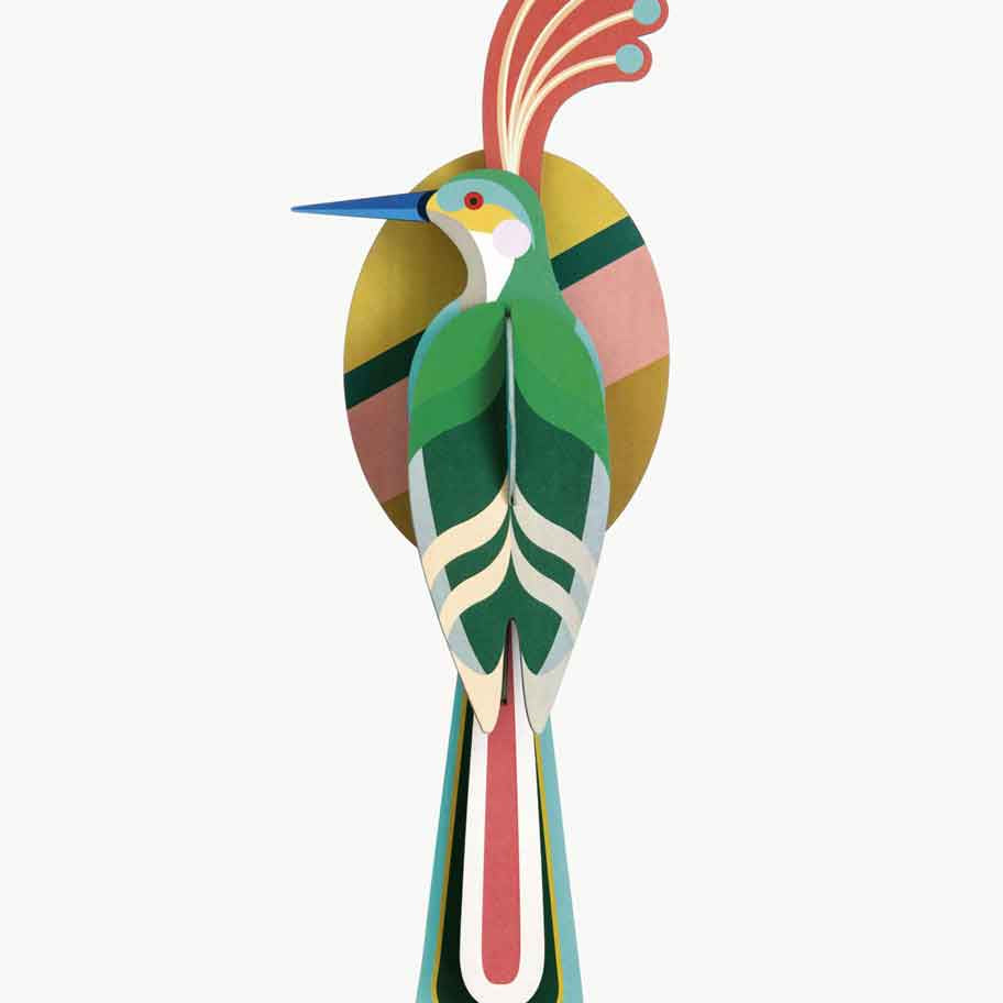 paradise-birds-nias.jpg