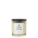 FermLiving_AW25_VittoScentedCandle_H10_LightCeledon_1104271915_1.png
