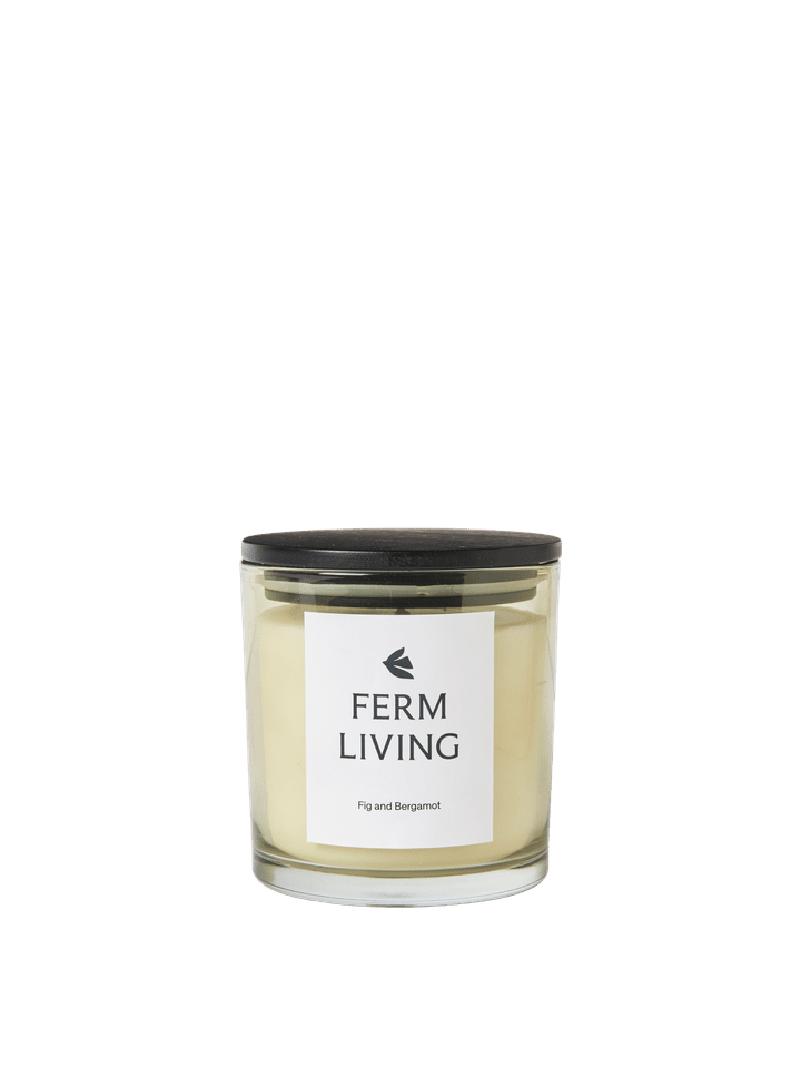 FermLiving_AW25_VittoScentedCandle_H10_LightCeledon_1104271915_1.png