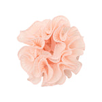 Swirl Scrunchie Powder.jpg