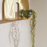 AYTM_D1_02_035.jpg