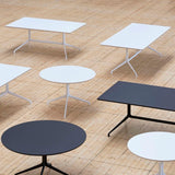 About a Table Collection.jpg