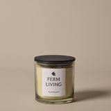 FermLiving_AW25_PackshotsWithBackground_VittoScentedCandle_H12_LightCeledon_1104271917.jpg