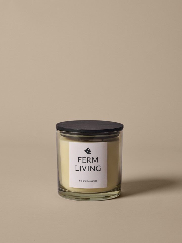 FermLiving_AW25_PackshotsWithBackground_VittoScentedCandle_H12_LightCeledon_1104271917.jpg