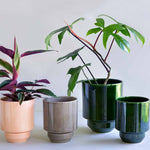 Hoff-Cover-Pot-collection.jpg