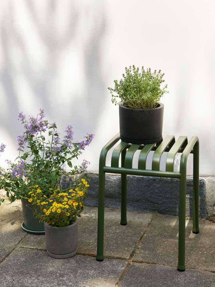 Palissade-Stool-olive_Plant-Pot-with-Saucer-XL-black_Plant-Pot-with-Saucer-M-grey_Botanical-Family-Set-L-dusty-green.jpg