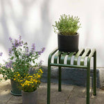 Palissade-Stool-olive_Plant-Pot-with-Saucer-XL-black_Plant-Pot-with-Saucer-M-grey_Botanical-Family-Set-L-dusty-green.jpg
