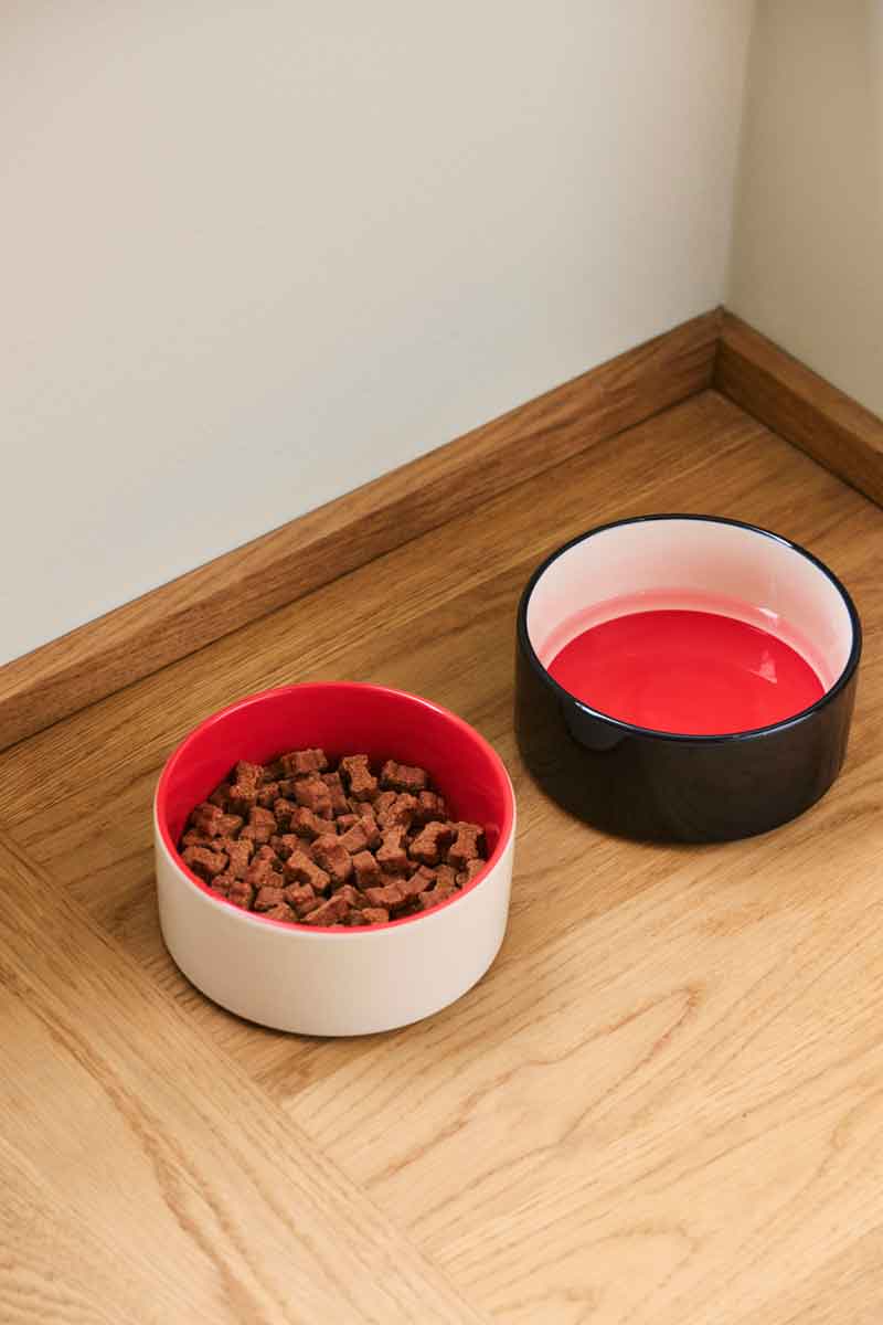 HAY-Dogs-Bowl-S-red-and-blue-and-off-white_blue-and-red-and-off-white.jpg