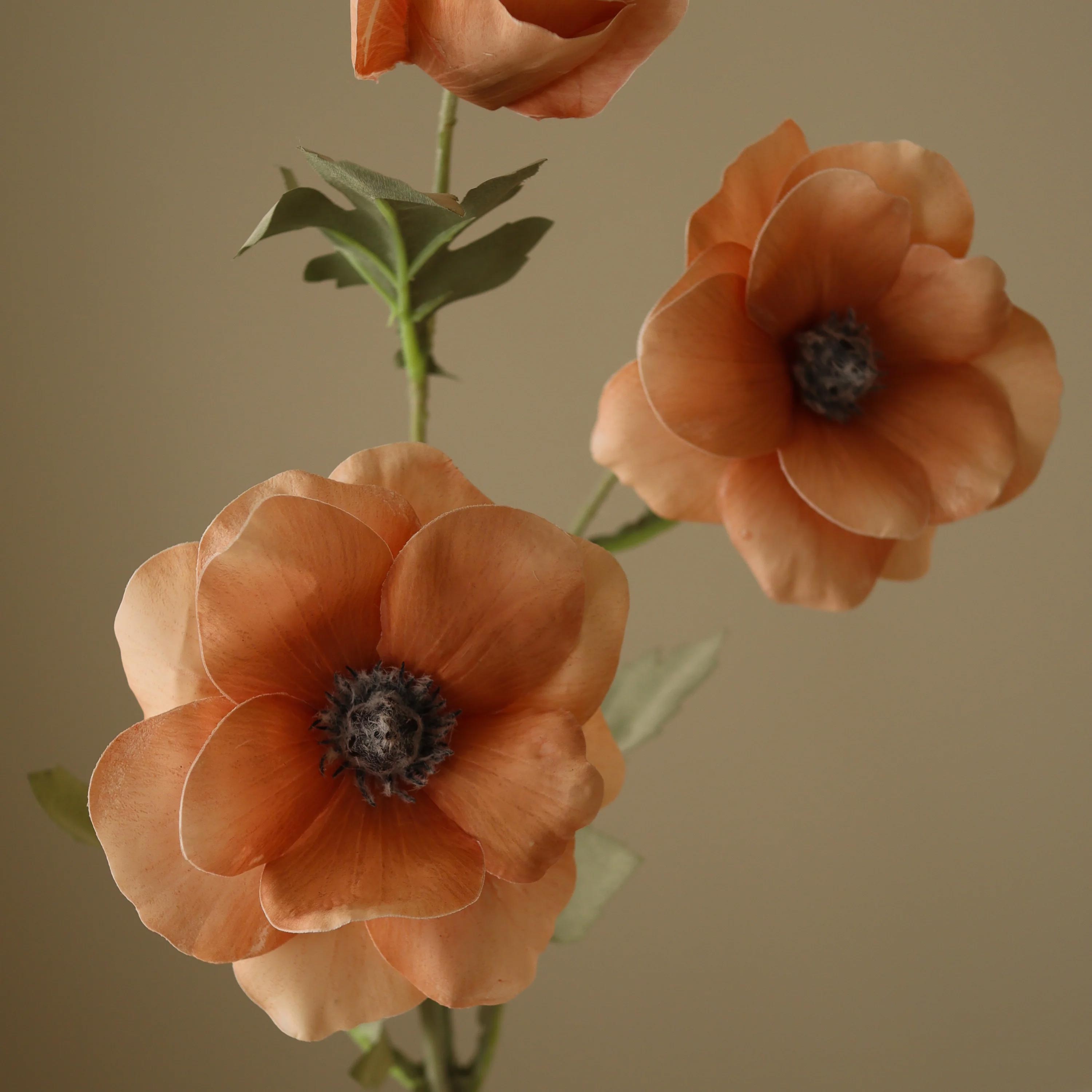 Untitled-32.jpg