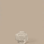 FermLiving_AW26_PackshotsWithBackground_MokuriVase_H15_Clear_1104273890.jpg