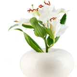 Dolce_cream_whiteflower_web.jpg