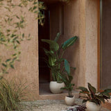 Untitled-61.jpg