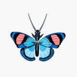 bluebutterfly.jpg
