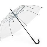 AF162-A650_Canopy Umbrella clear.jpg