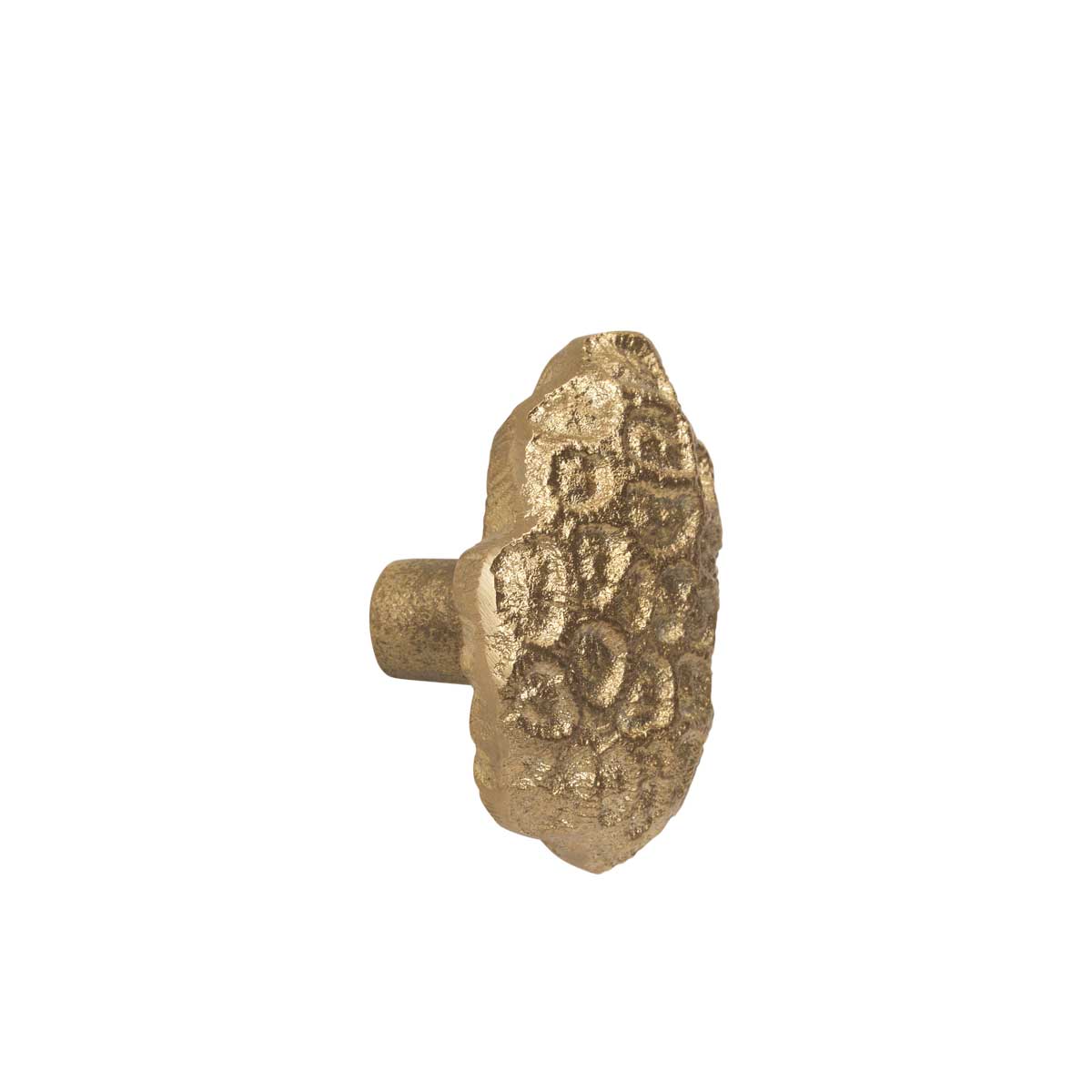 FermLiving_SS25_ComberCoralHookBrass_Brass_1104270838_2.jpg