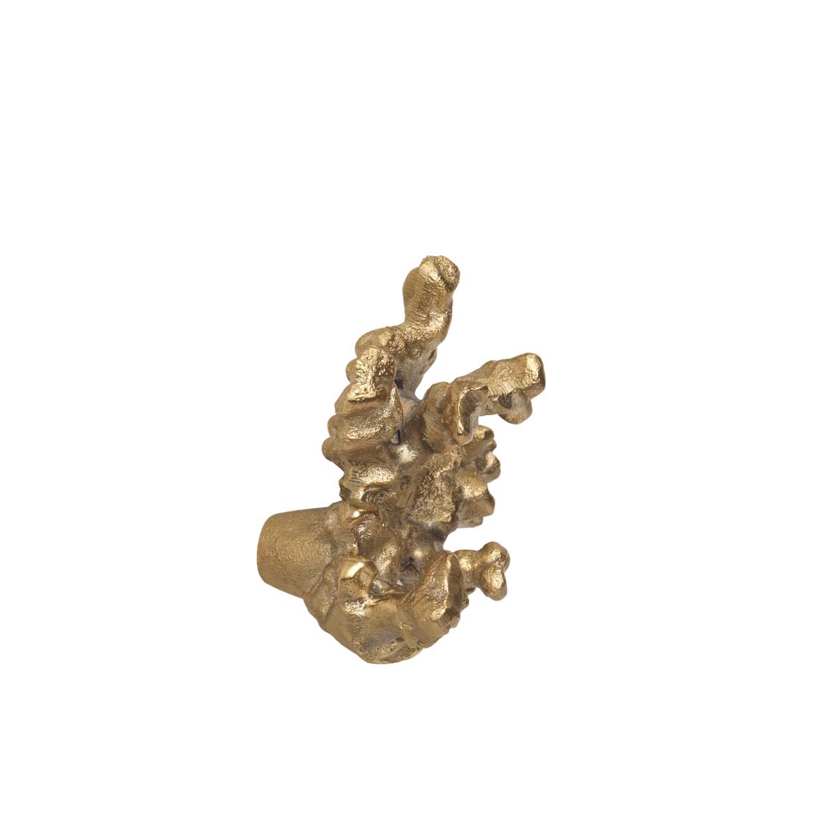 FermLiving_SS25_ComberCoralBranchHookBrass_Brass_1104270840_2.jpg