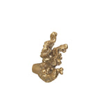 FermLiving_SS25_ComberCoralBranchHookBrass_Brass_1104270840_2.jpg