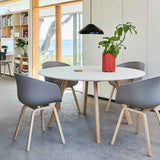 AAC-22-concrete-grey-2.0-shell-wb-lacquer-oak_Pao-Steel-Pendant-230-soft-black_Arcs-Vase-red.jpg