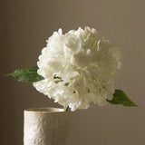 Untitled-29.jpg