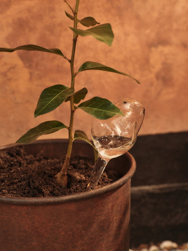 FermLiving_SS26_MercuryWaterGlobes_1104272726.jpg
