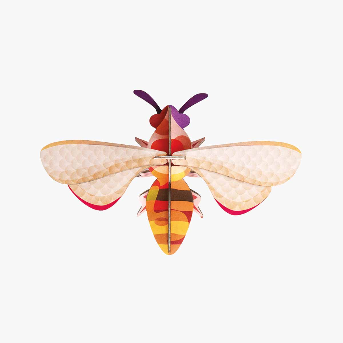 bee.jpg