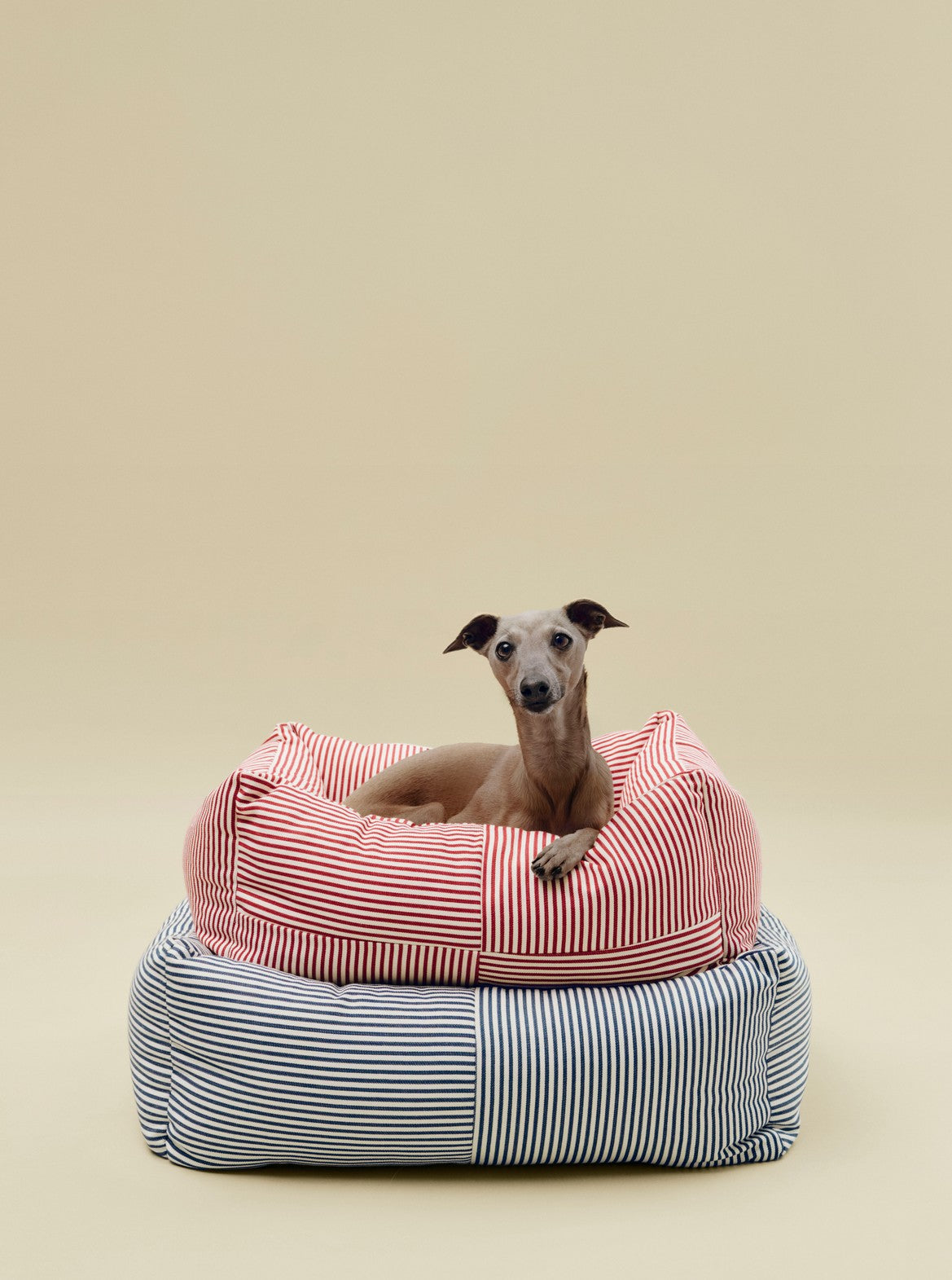 HAY Dogs Bed Zip M red and white stripe_HAY Dogs Bed Zip L blue and white stripe.jpg