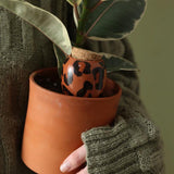 Untitled-20.jpg
