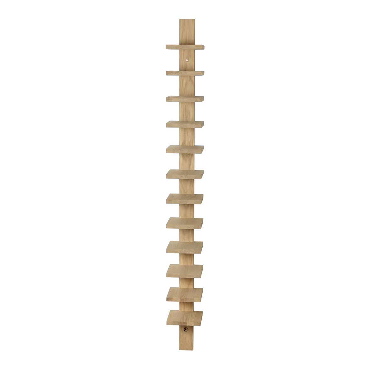 Untitled-49.jpg