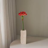 Untitled-30.jpg