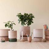 BERGS-POTTER_IMG_3157_HOFF_FAMILY_RAW-ROSA_LS.jpg