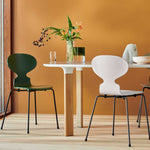 FH_Ant_3101_Evergreen_Olive-Green_Light-Beige_Warm-Graphite_Analog_JH63_Oak_White.jpg