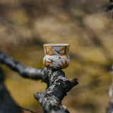 espresso-hd-10.jpg