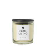 FermLiving_AW25_VittoScentedCandle_H12_LightCeledon_1104271917_1.png