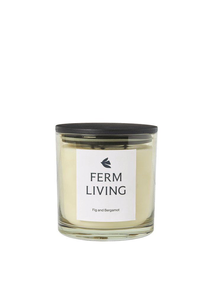 FermLiving_AW25_VittoScentedCandle_H12_LightCeledon_1104271917_1.png