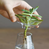 aquaculture_ec_d_001-v1615794468846.jpg