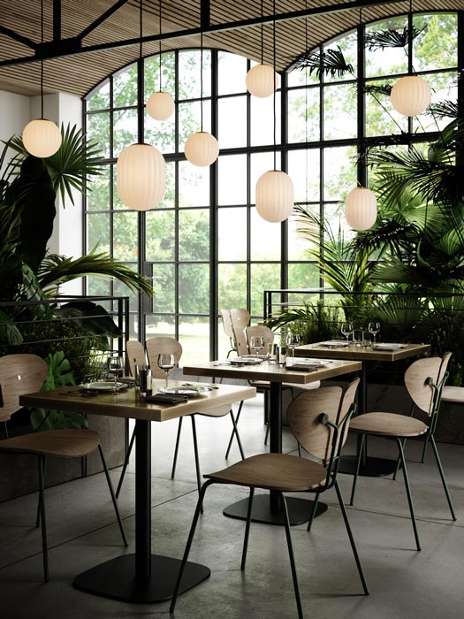 Bright-Modeco-Family-1200x900.jpg