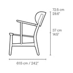 ch22-side1.jpg