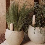 MENU_LS_Plantas_Planter_Hydrous_Watering_Stick.jpg