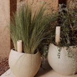MENU_LS_Plantas_Planter_Hydrous_Watering_Stick.jpg