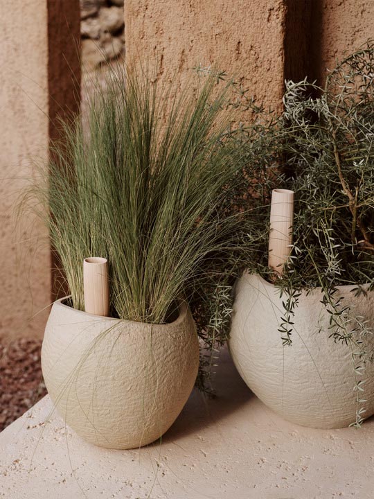 MENU_LS_Plantas_Planter_Hydrous_Watering_Stick.jpg